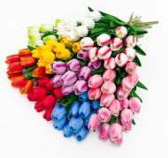 Одиночный тюльпан из латекса (10)