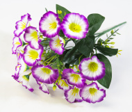 Петунии 18 цветков (20)