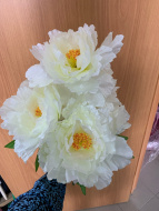 Куст Пионы микс большие бум