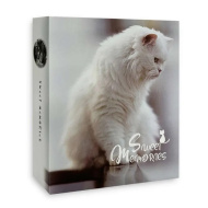 Ф/альбом 100ф 10X15см, 122525