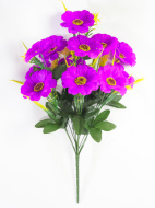 Тунбергия 12 цветков