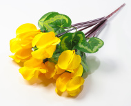 Цикламен 7 цветков (40)