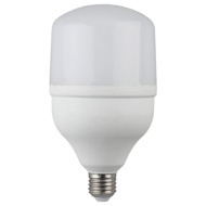 Лампа светод. ЭРА LED smd POWER 30W-4000-E27