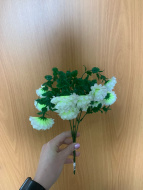 Бархатцы микс