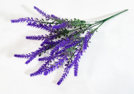 Лаванда "Париж" 5 веток (40)