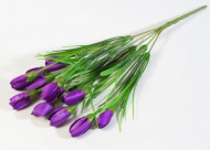 Крокус "Капрал" 12 цветков 303772 (40)