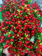 Красные ягоды мелкие пластик