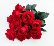 Роза "Люкс" 13 веток (10)