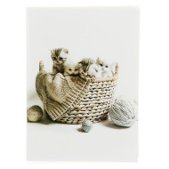 Ф/альбом 36ф 10X15см, мягкая обложка 122093