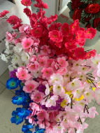 Орхидеи  микс