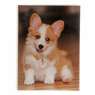 Ф/альбом 36ф 10X15см, мягкая обложка 122095 