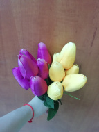 тюльпаны  куст микс