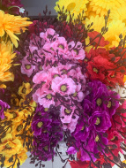 Орхидея малая микс