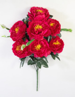 Пионы "Сапфир" 7 цветков (20)