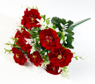 Циннии бархатные 10 цветков