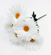 Ромашка Белоцветик 6 цветков (40)