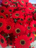 Герберы  красные  куст