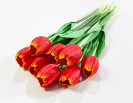 Тюльпан одиночный 2035 (80)