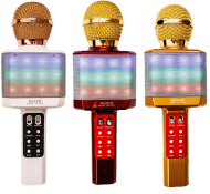 Микрофон колонка WSTER WS-1828 беспроводной (Bluetooth, динамики, USB) золото