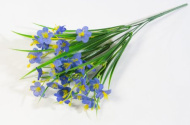 Букет незабудок 35 цветков (40)