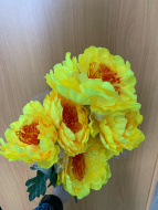 Куст Пионы 6цв. микс