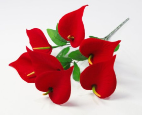 Букет калл 7 веток CD142 (40)