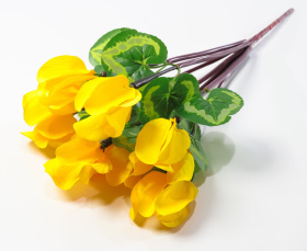 Цикламен 7 цветков (40)