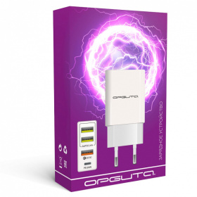 Орбита OT-APU58 ЗУ с USB (PD+QC3.0, 4000mA)