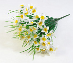 Нарциссы 54 цветка (20)