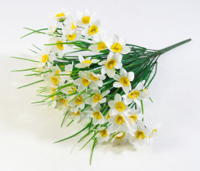 Нарциссы 54 цветка (20)
